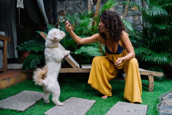 Pourquoi opter pour des friandises naturelles pour votre chien ?