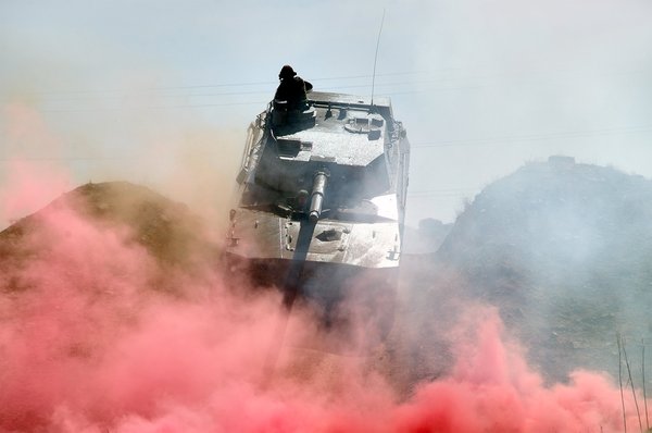 Comment les papillons du chou reconnaissent-ils les plantes hôtes pour leurs œufs?